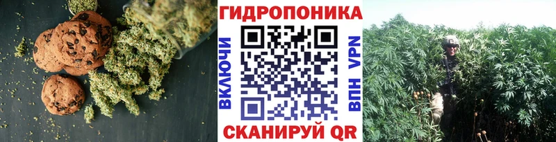Купить закладки  Гвардейск  Cannafood конопля 