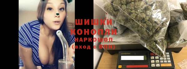кокс Касимов