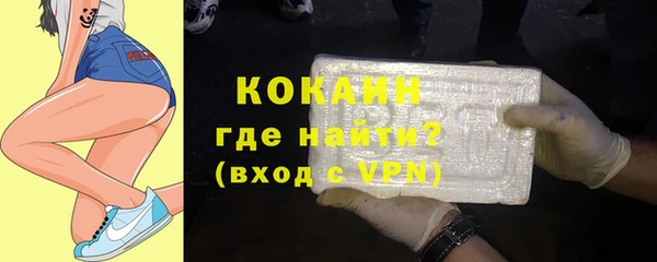 кокс Касимов