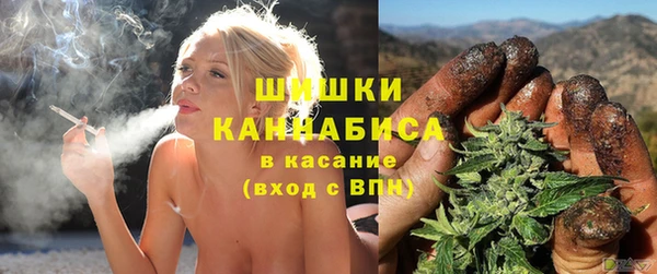 кокс Касимов