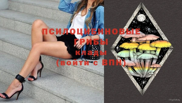 кокс Касимов