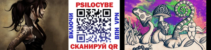 Купить закладки Гвардейск Псилоцибиновые грибы мицелий