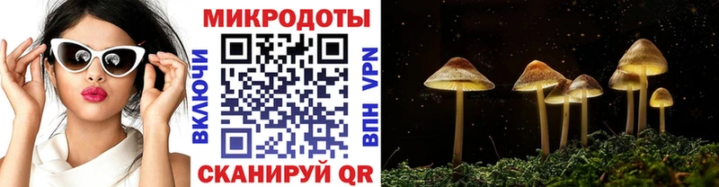 Псилоцибиновые грибы мухоморы Гвардейск