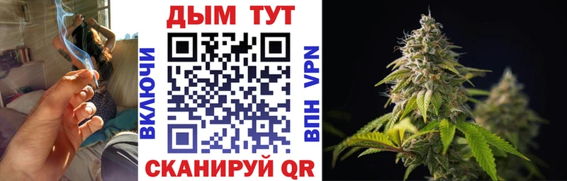 Конопля SATIVA & INDICA Гвардейск